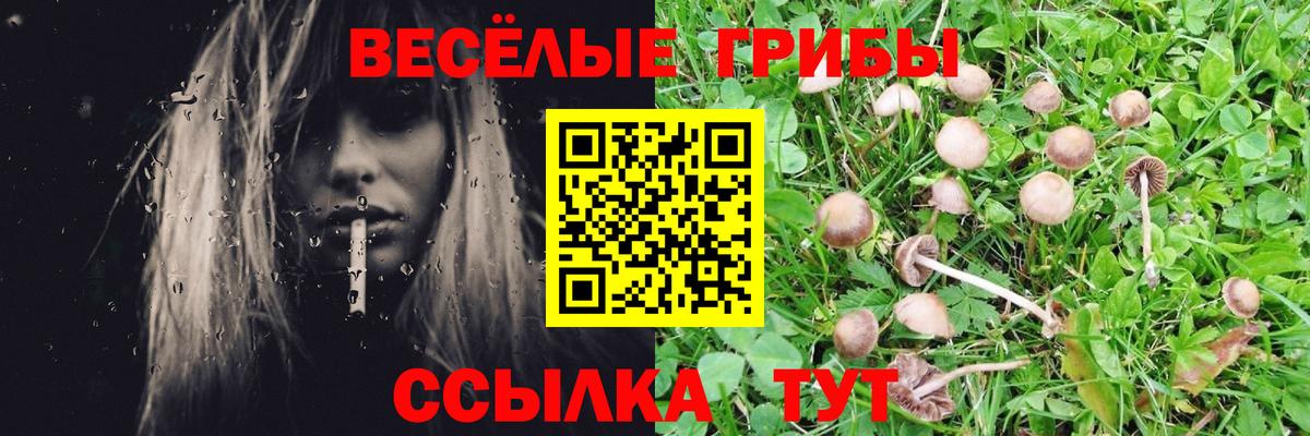 где купить наркоту  Галлюциногенные грибы прущие грибы  Вход с VPN  Людиново  Галлюциногенные грибы Magic Shrooms 